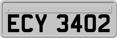 ECY3402