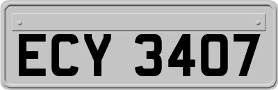 ECY3407