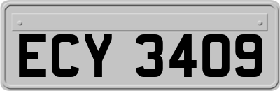 ECY3409