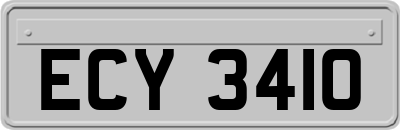 ECY3410