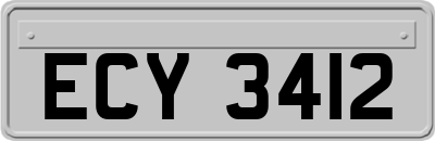 ECY3412