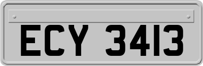 ECY3413