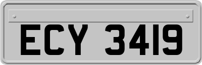 ECY3419