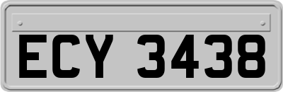 ECY3438