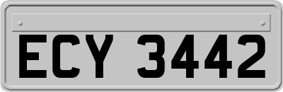 ECY3442