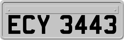 ECY3443