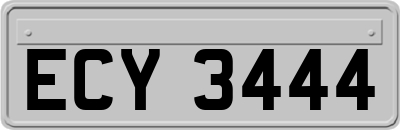 ECY3444