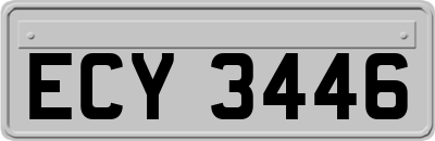 ECY3446