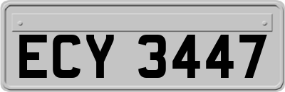 ECY3447