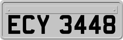 ECY3448