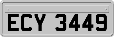 ECY3449