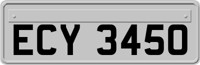 ECY3450