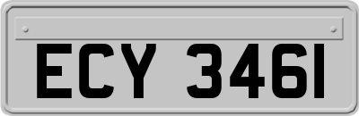 ECY3461