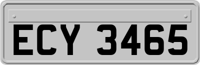 ECY3465