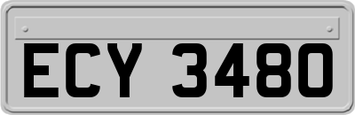 ECY3480