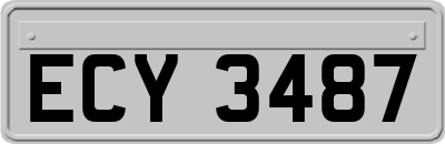 ECY3487