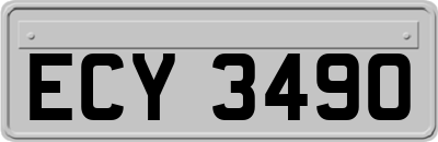 ECY3490