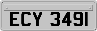 ECY3491
