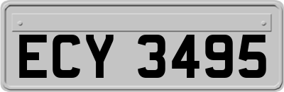 ECY3495