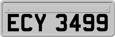 ECY3499