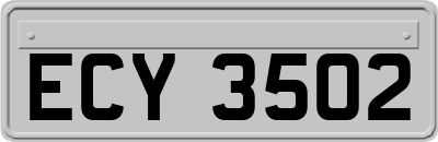 ECY3502