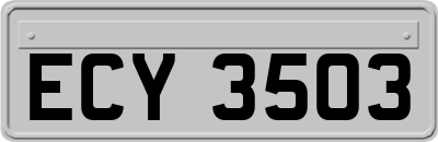 ECY3503