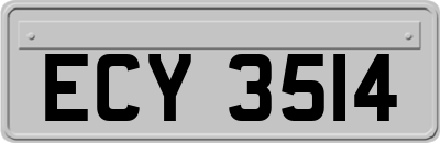 ECY3514