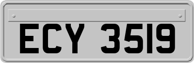 ECY3519