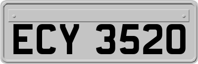 ECY3520