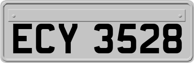 ECY3528