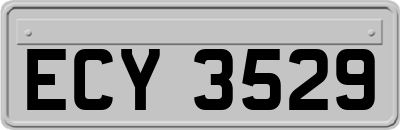 ECY3529
