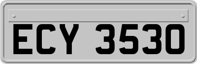 ECY3530