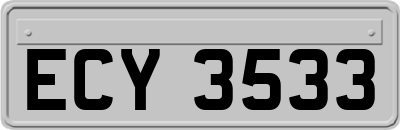 ECY3533