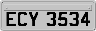 ECY3534