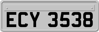 ECY3538