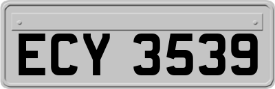 ECY3539