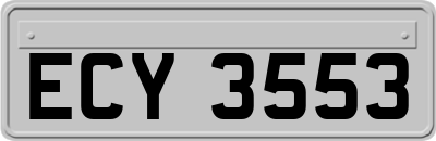 ECY3553