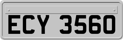 ECY3560