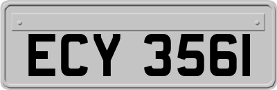 ECY3561
