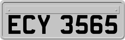 ECY3565