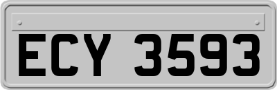 ECY3593