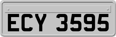 ECY3595