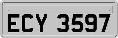 ECY3597