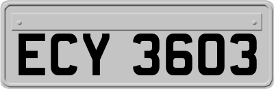 ECY3603