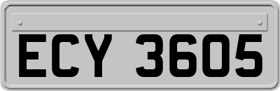 ECY3605