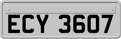 ECY3607
