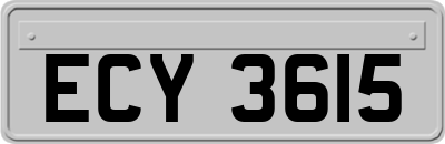 ECY3615