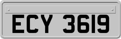 ECY3619