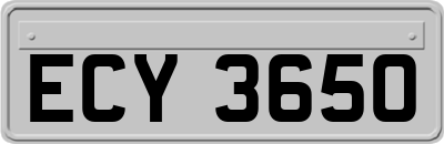 ECY3650