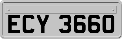 ECY3660